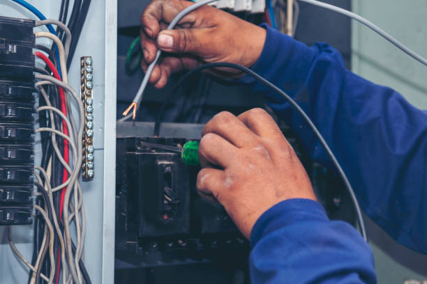 Best Ceiling Fan Installation Electrician  in Cattaraugus, NY
